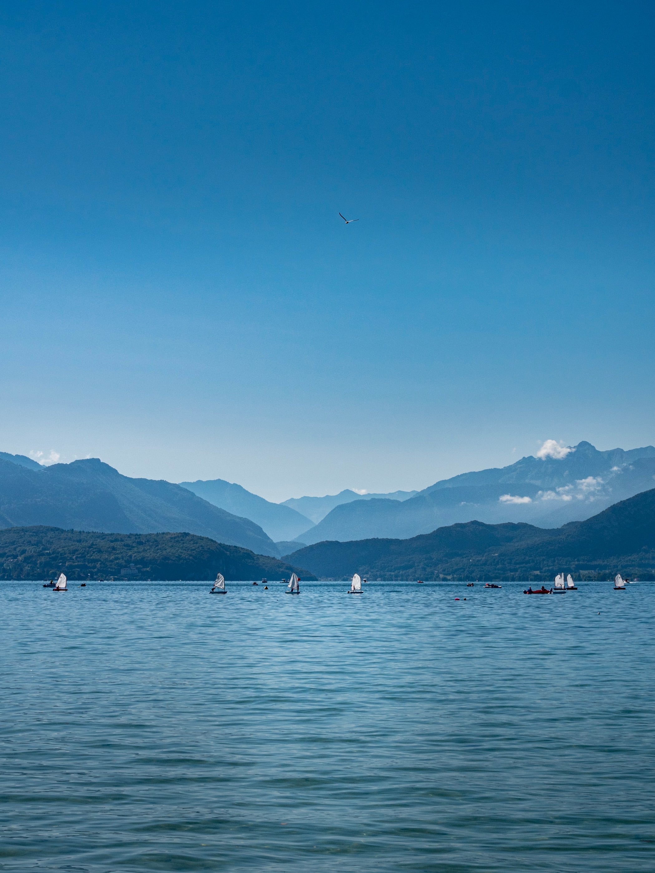 De petits voiliers blancs alignés sur l'eau bleue au pied des montagnes, sous un grand ciel bleu traversé par un oiseau.