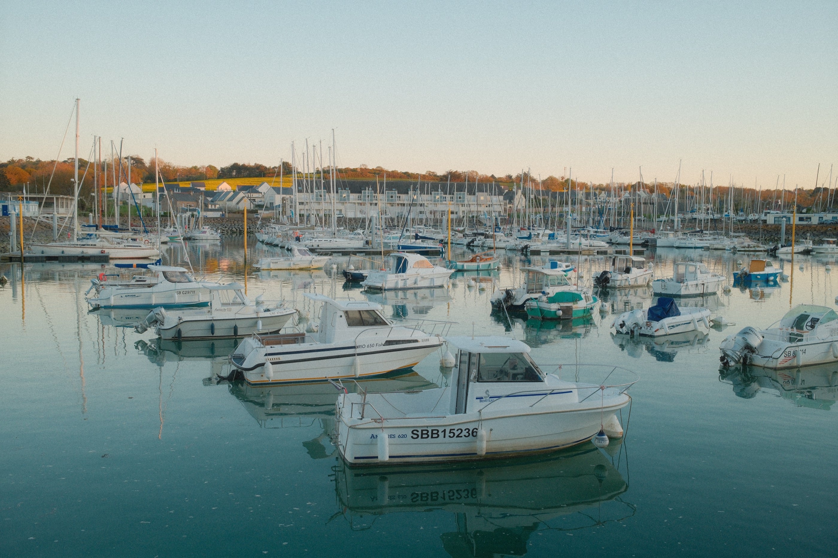Bateaux de plaisance blancs sur l'eau calme et turquoise du port, une forêt de mâts derrière, lumière douce du soir.