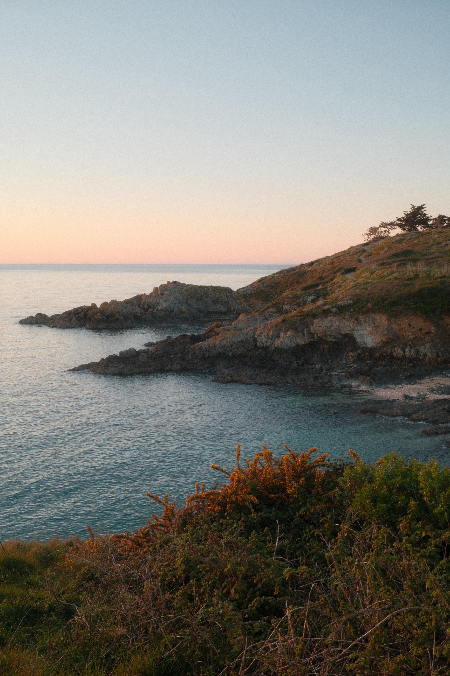 Une pointe rocheuse s'avance dans la mer calme sous un ciel rose pâle, des ajoncs roussis au premier plan.
