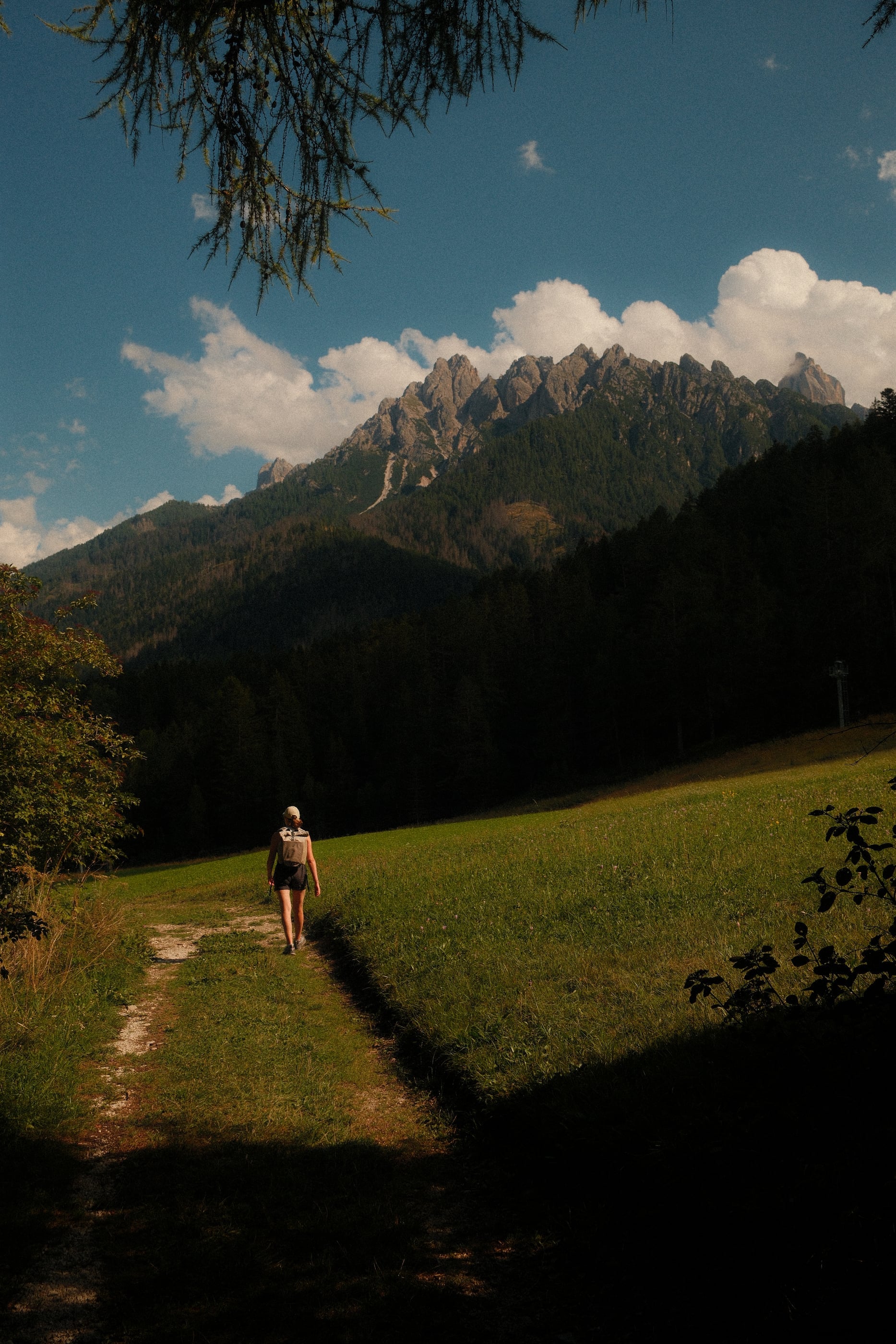 Une randonneuse marche sur un chemin herbeux dans l'ombre, face à des crêtes rocheuses éclairées sous un ciel bleu.