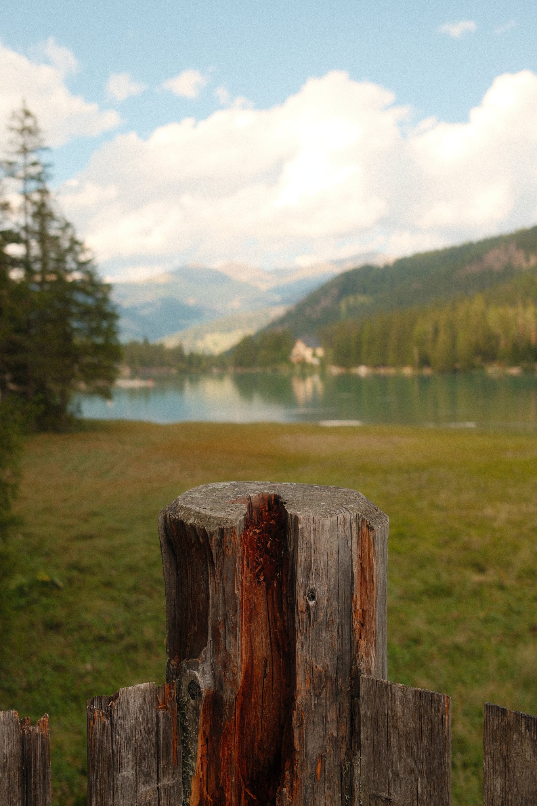 Un vieux poteau de bois fendu au premier plan, la prairie et le lac au pied des montagnes boisées derrière.