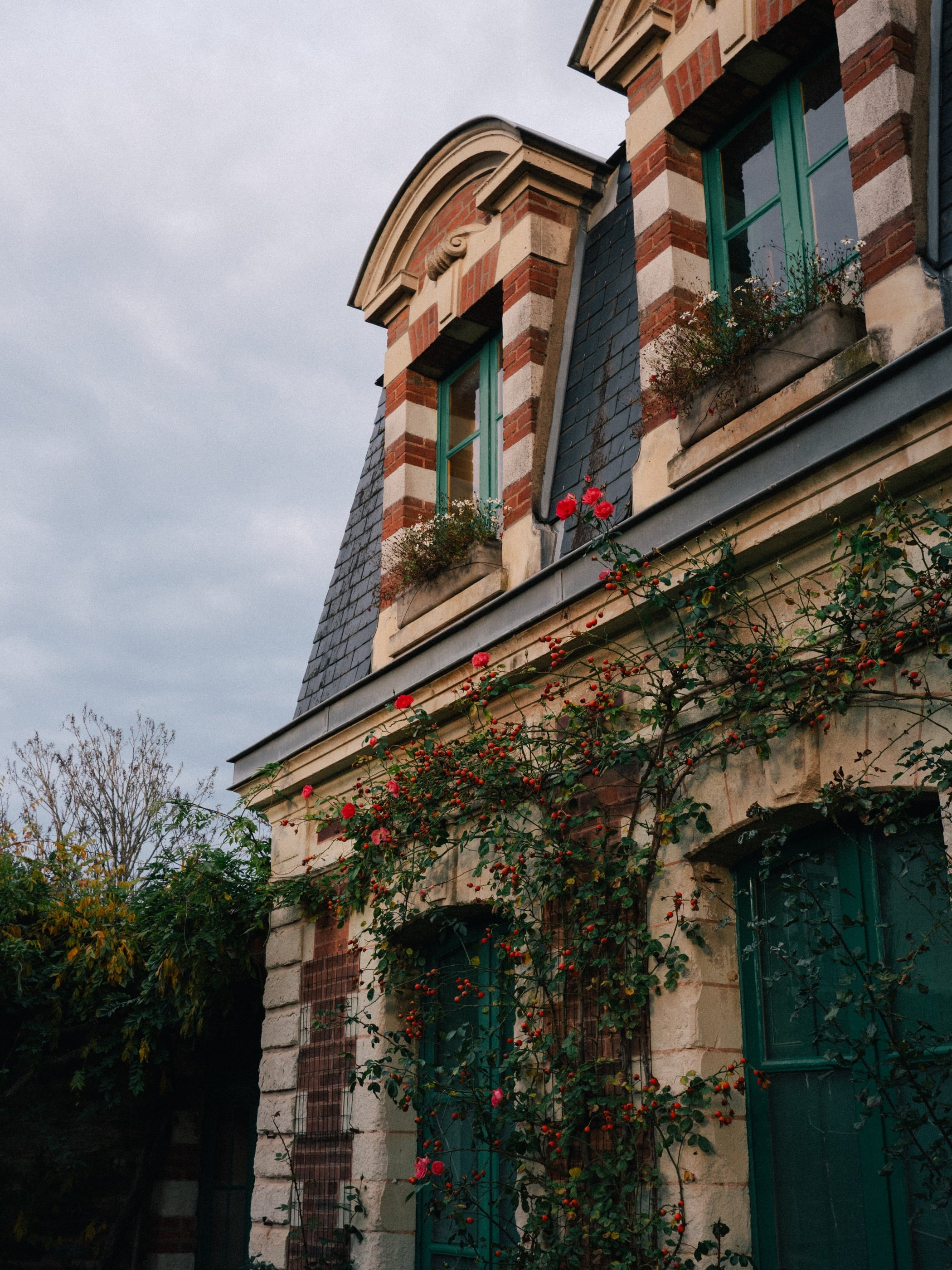 Façade de brique rouge et de pierre claire aux lucarnes ouvragées, un rosier grimpant fleuri autour des portes vertes, ciel gris.